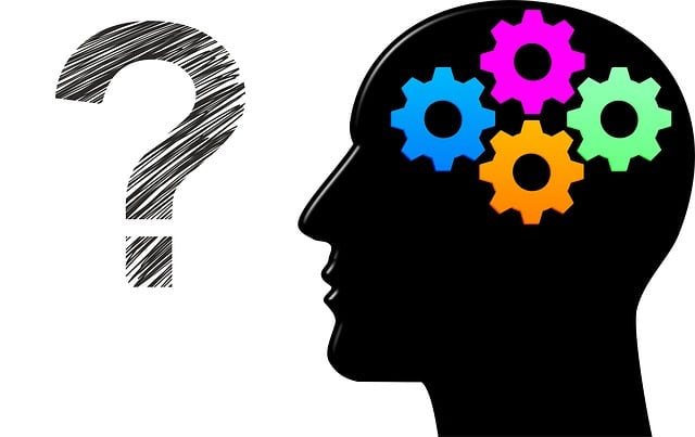 An illustration showing a head with colorful gears and a question mark sitting in front of the head